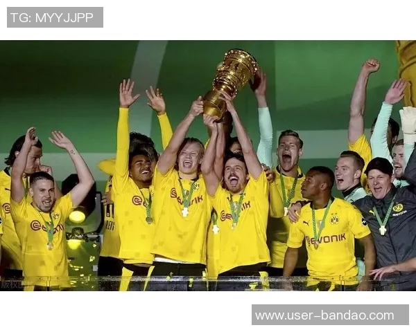 近十年德国杯冠军回顾拜仁独占鳌头但五年无冠莱比锡与多特各有斩获